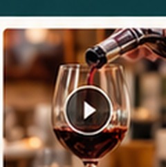 Vins